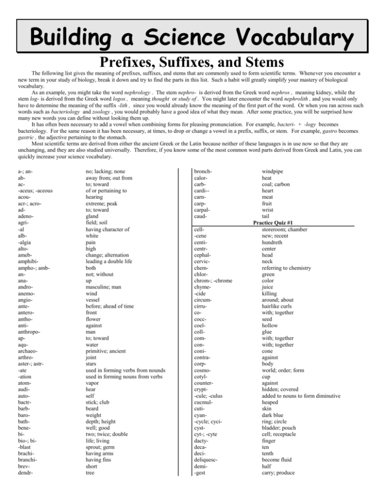 Vocab Builder - prefixes, suffixes, stems