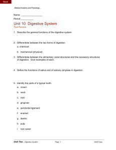Unit 10 Digestive System