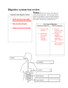 Digestive system test review Notes |relate the organs of the digestive