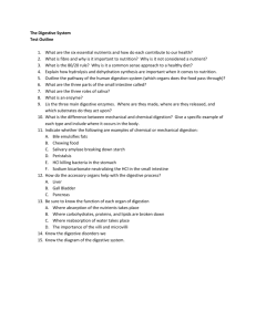 Digestive System – Test Review Sheet