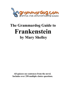 FRANKENSTEIN by Mary Shelley – Grammar and Style