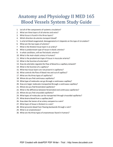 Study guide for blood vessels