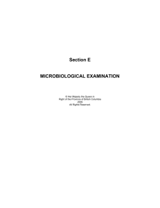 Section E: Microbiological Examination