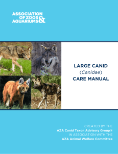 LARGE CANID - Association of Zoos and Aquariums