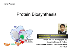 Protein Biosynthesis