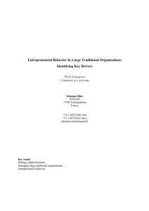 Entrepreneurial Behavior In Large Traditional Organizations