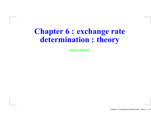 Chapter 6 : exchange rate determination : theory