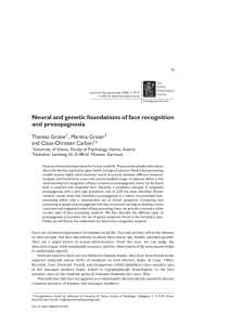 Neural and genetic foundations of face recognition and prosopagnosia