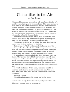 Chinchillas in the Air