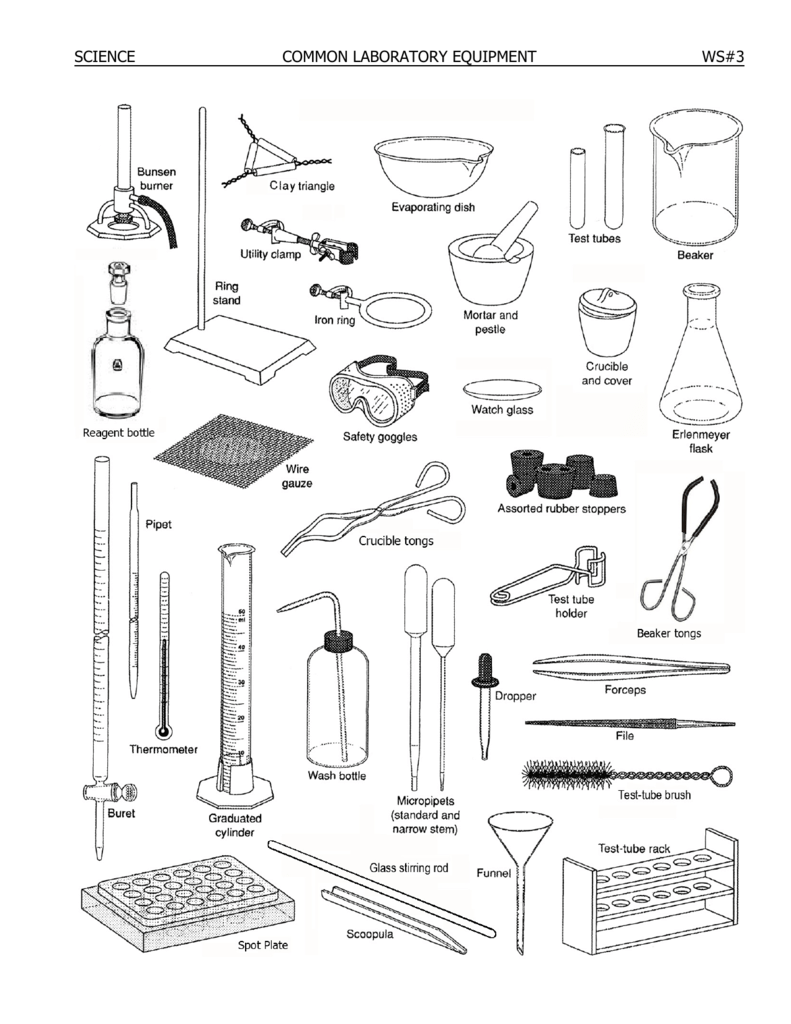 SCIENCE COMMON LABORATORY EQUIPMENT WS#21 - youngs-wiki For Lab Equipment Worksheet Answer Key