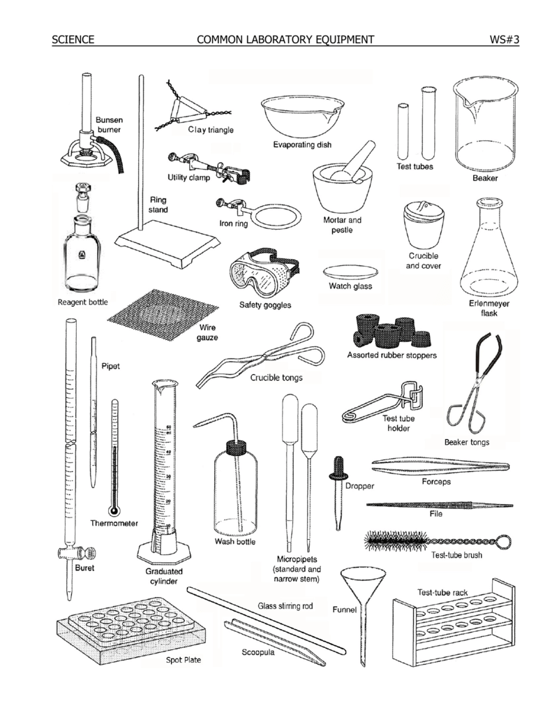 SCIENCE COMMON LABORATORY EQUIPMENT WS#25 - youngs-wiki Intended For Lab Equipment Worksheet Answers