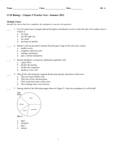 CCR Biology - Chapter 5 Practice Test