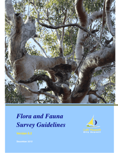 Flora and Fauna Survey Guidelines