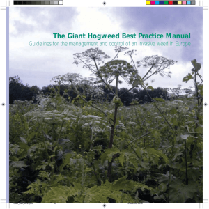 The Giant Hogweed Best Practice Manual