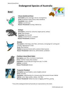 Fact Sheet: Endangered Birds of Australia