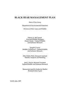 black bear management plan - Division of Fish and Wildlife