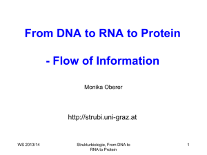 From DNA to RNA to Protein