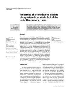 Properties of a constitutive alkaline phosphatase from strain 74A of