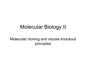 Molecular Biology II