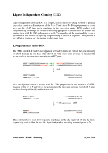 Ligase Independent Cloning (LIC)