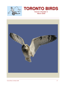 toronto birds - Toronto Ornithological Club