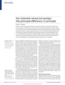 Ion channels versus ion pumps - Department of Physiology and