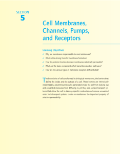Cell Membranes, Channels, Pumps, and Receptors