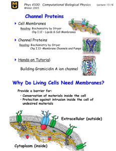 Channel Proteins Why Do Living Cells Need Membranes?