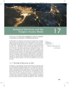 Biological Electricity and the Hodgkin–Huxley