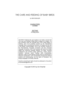 the care and feeding of baby birds - 10