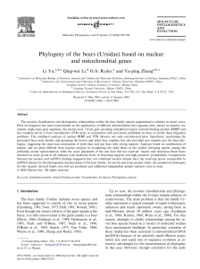 Phylogeny of the bears (Ursidae) based on nuclear and