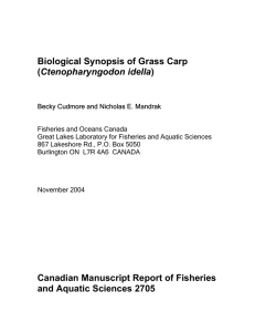 Biological Synopsis of Grass Carp