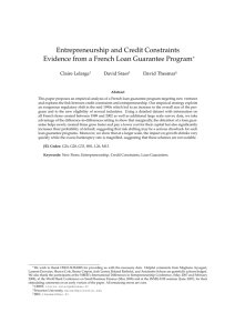 Entrepreneurship and Credit Constraints Evidence from a