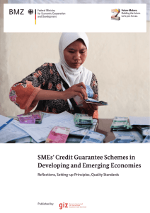 giz study on smes credit guarantee schemes