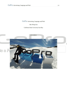 GoPro Campaign and Pitch