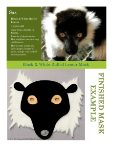 Sax Mask - Wildlife Waystation