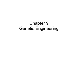 Chapter 9 Genetic Engineering