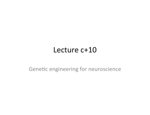 Lecture 15 - Genetic Engineering
