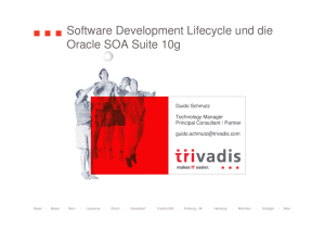 Software Development Lifecycle und die Oracle SOA Suite 10g