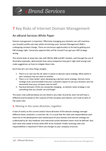 7 Key Risks of Internet Domain Management