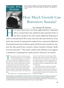 How Much Growth Can Borrowers Sustain