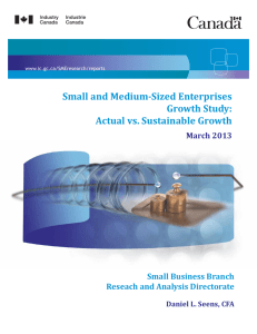 Small and Medium-Sized Enterprises Growth Study