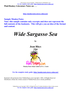 Wide Sargasso Sea