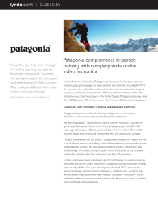 Patagonia complements in-person training with company
