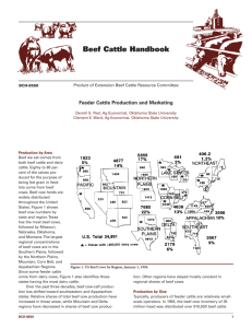 Feeder Cattle Production and Marketing