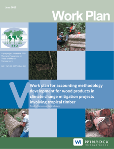 Workplan: Wood product accounting ounting