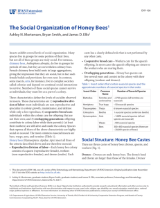 The Social Organization of Honey Bees1 - EDIS