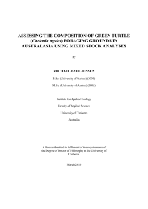 ASSESSING THE COMPOSITION OF GREEN TURTLE (Chelonia