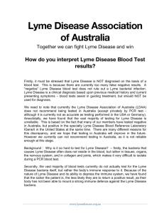 How do you interpret Lyme Disease Blood Test results?