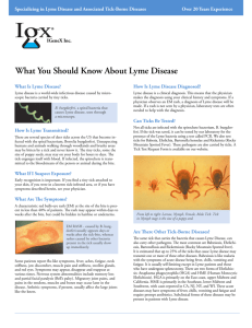 What You Should Know About Lyme Disease